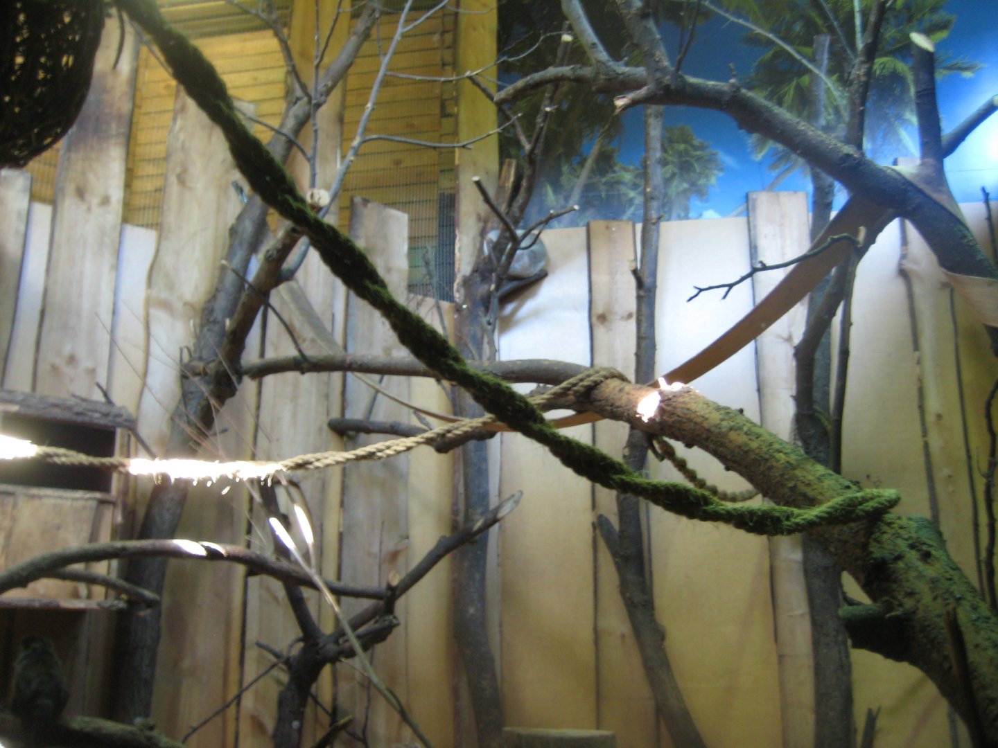 Riga Zoo - Tropical house - South American exhibit