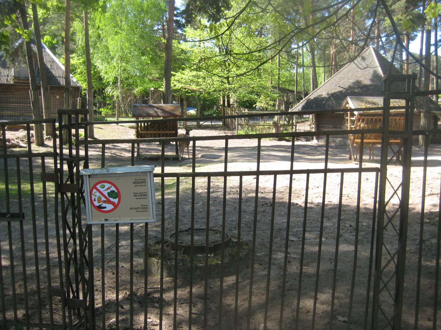 Riga Zoo - White-lipped deer exhibit