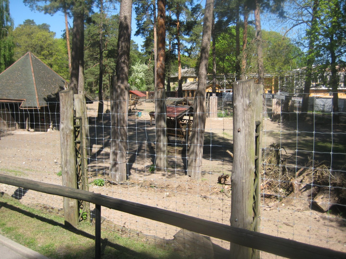 Riga Zoo - White-lipped deer exhibit