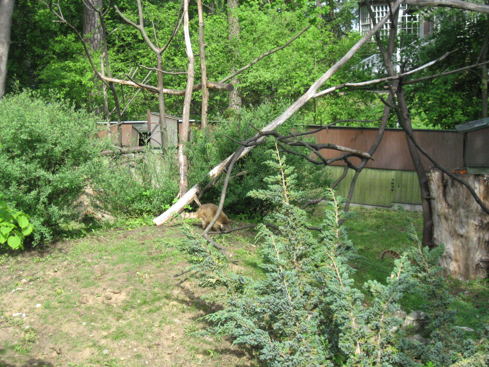 Riga zoo