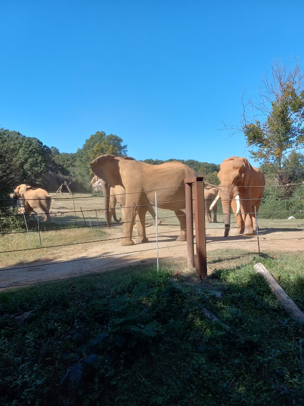 Right after C'sar hit one of the girls