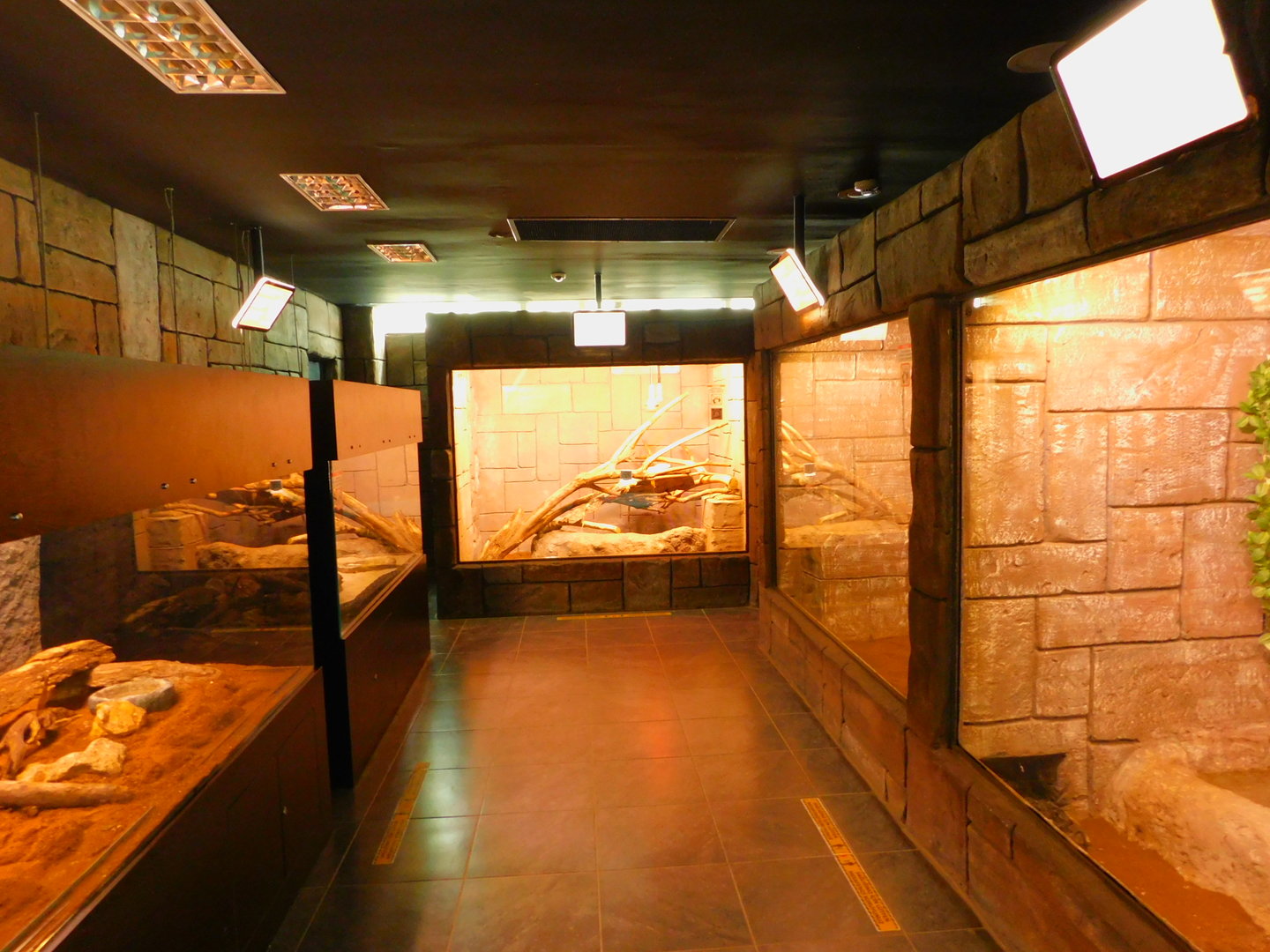 Right from the Entrance of the Tropical house