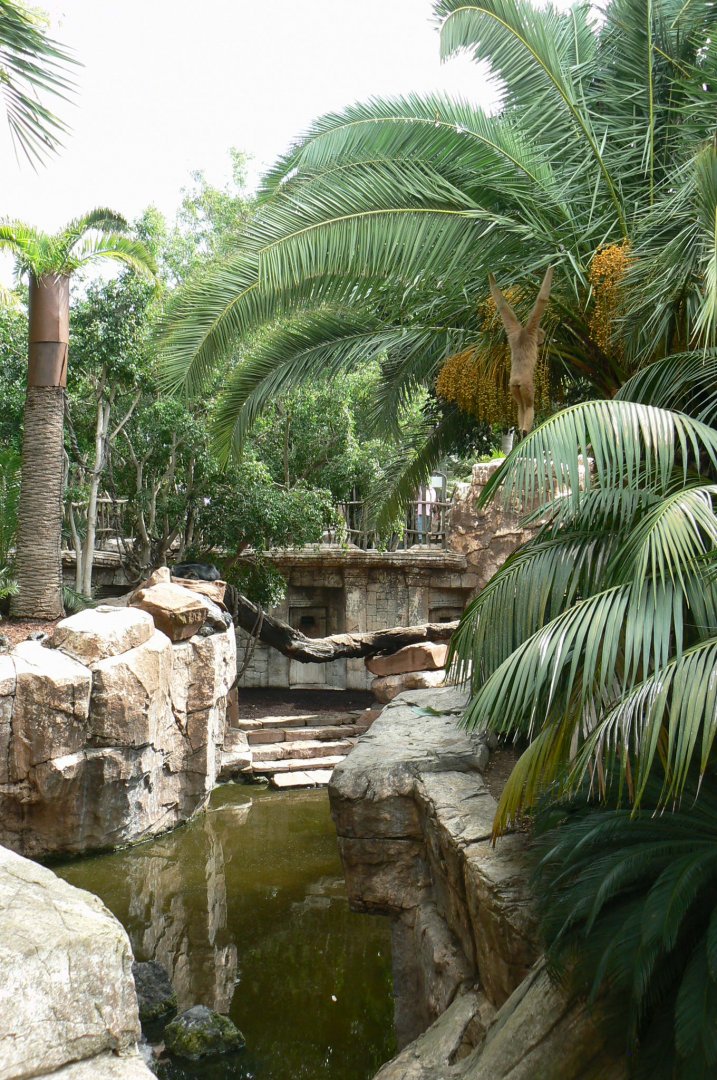 Right : Golden-cheeked gibbons island - Left : Binturongs exhibit - On the ground : Malayan tapirs exhibit