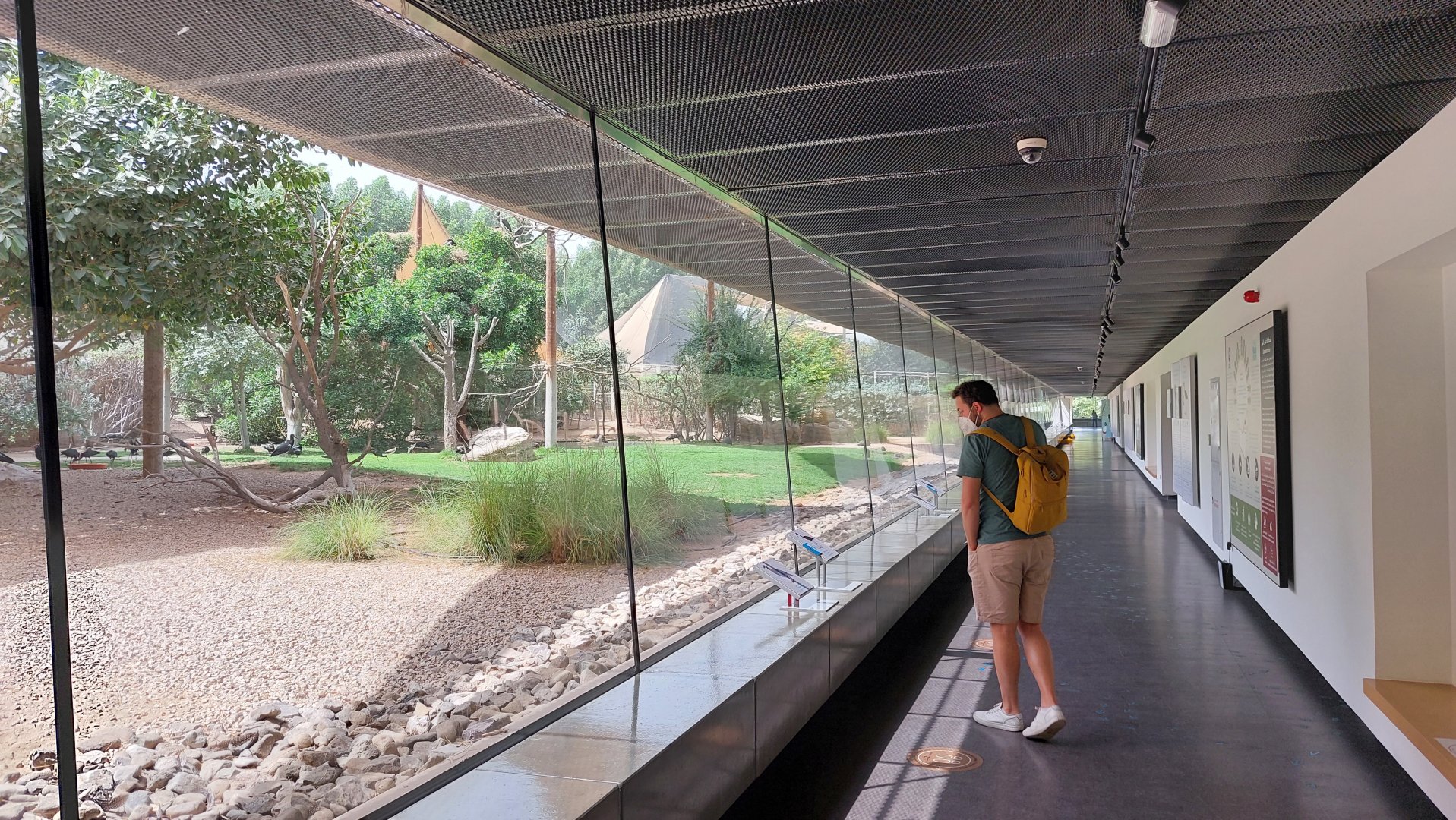 Right hallway with aviaries