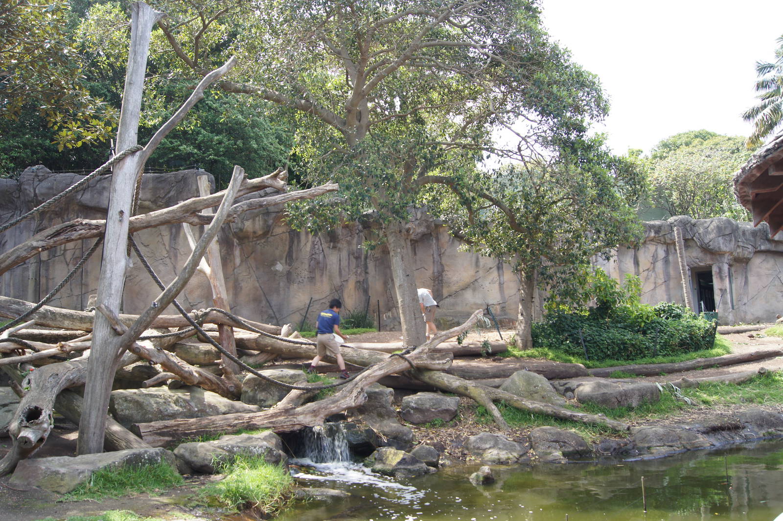 Right Hand Side of Gorilla Exhibit