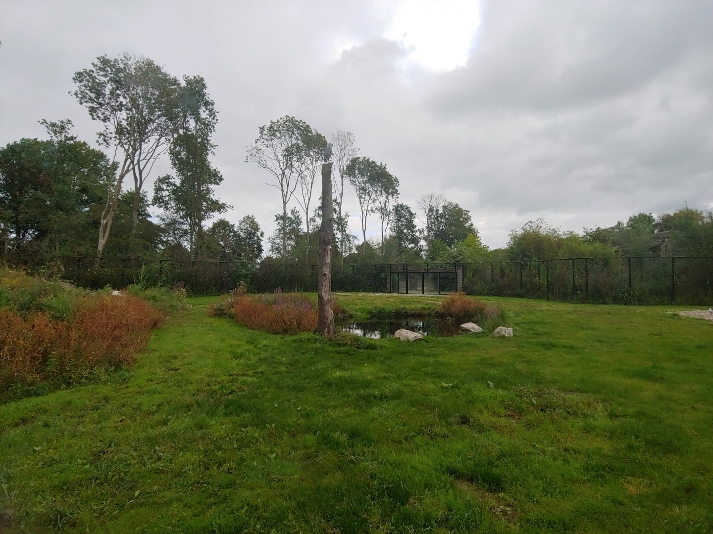 Right Polar bear enclosure