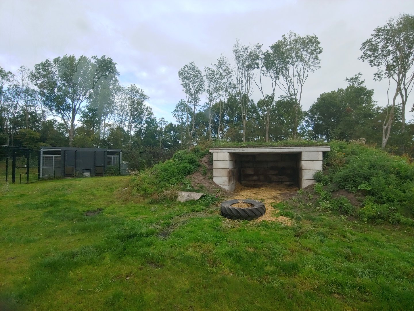 Right Polar bear enclosure