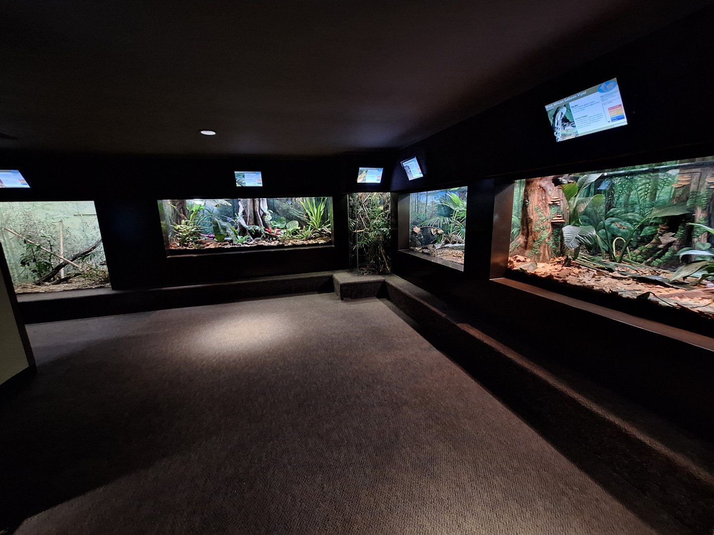 Right side back hall