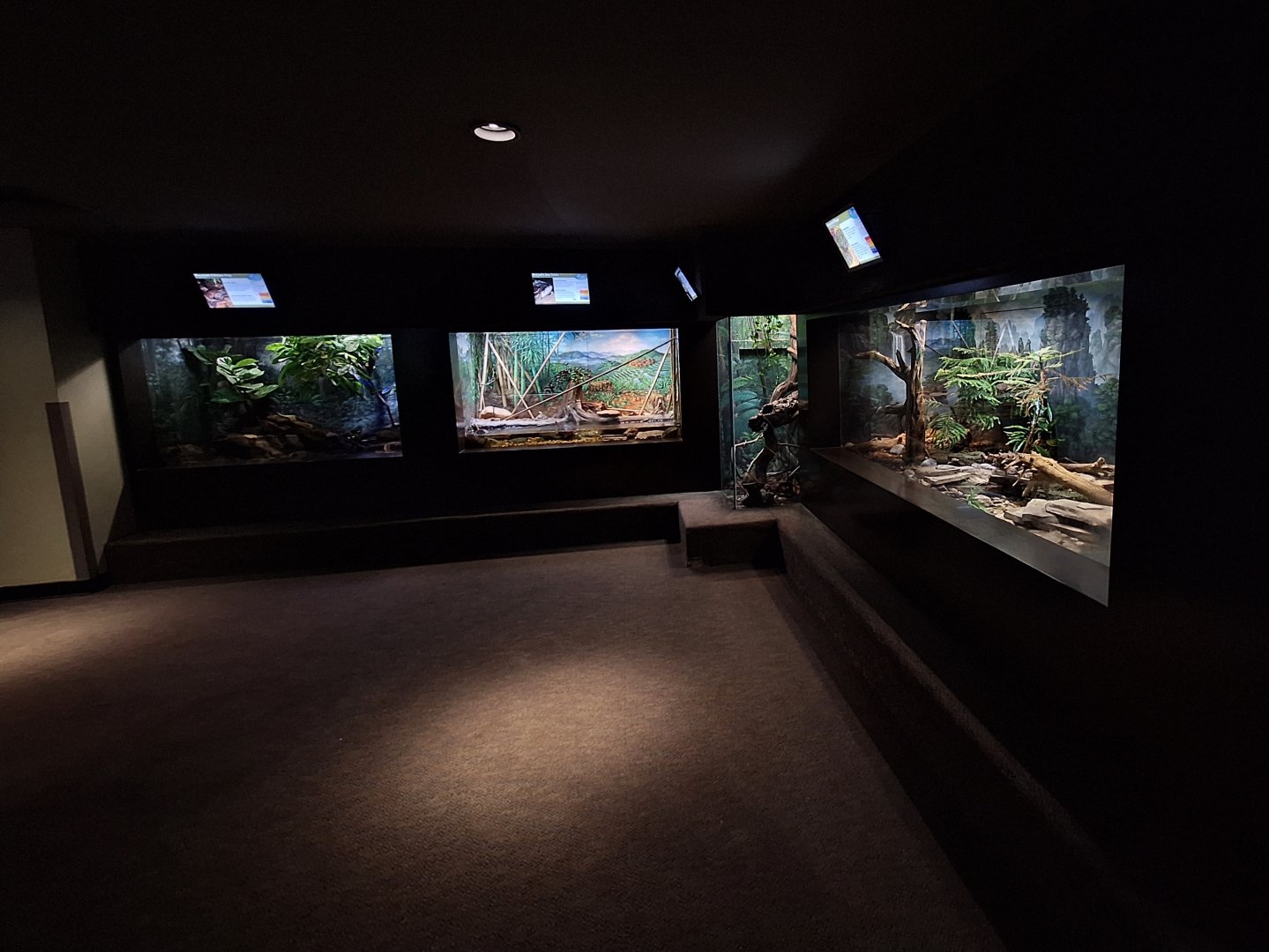 Right side front hall