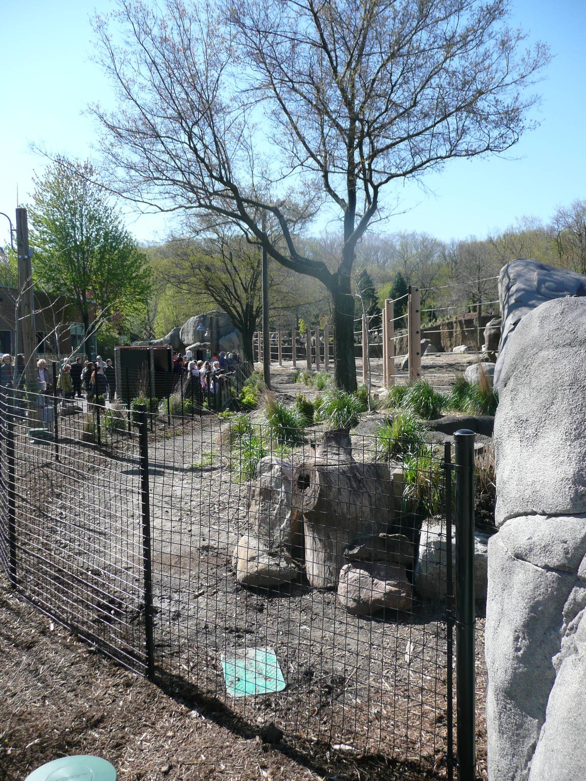 Right side of African Elephant Crossing