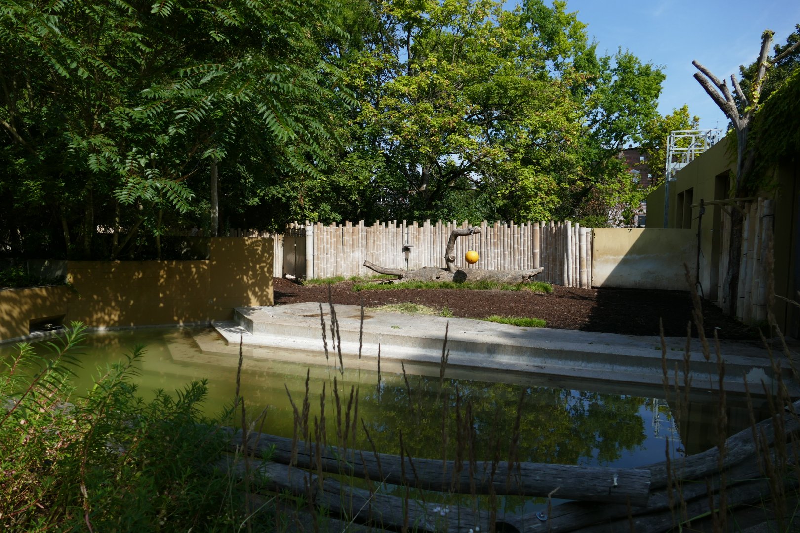 Right-side of Malayan Tapir Enclosure