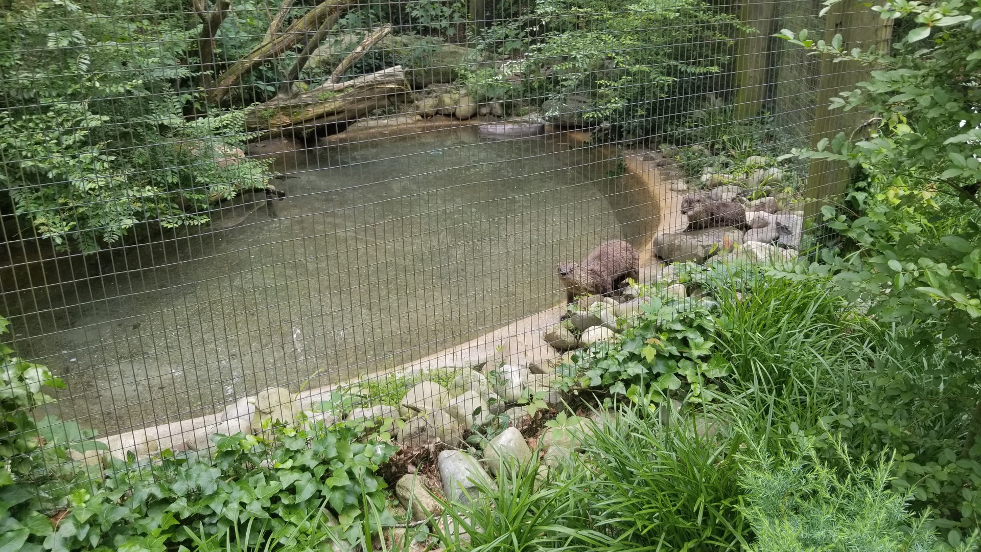 Right side of otter enclosure