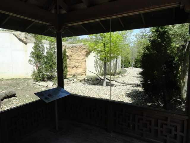 Right Side of Sika Deer Exhibit in Legends of the Wilds