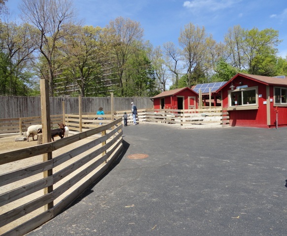 Right Side of the new Farmland Contact Yard