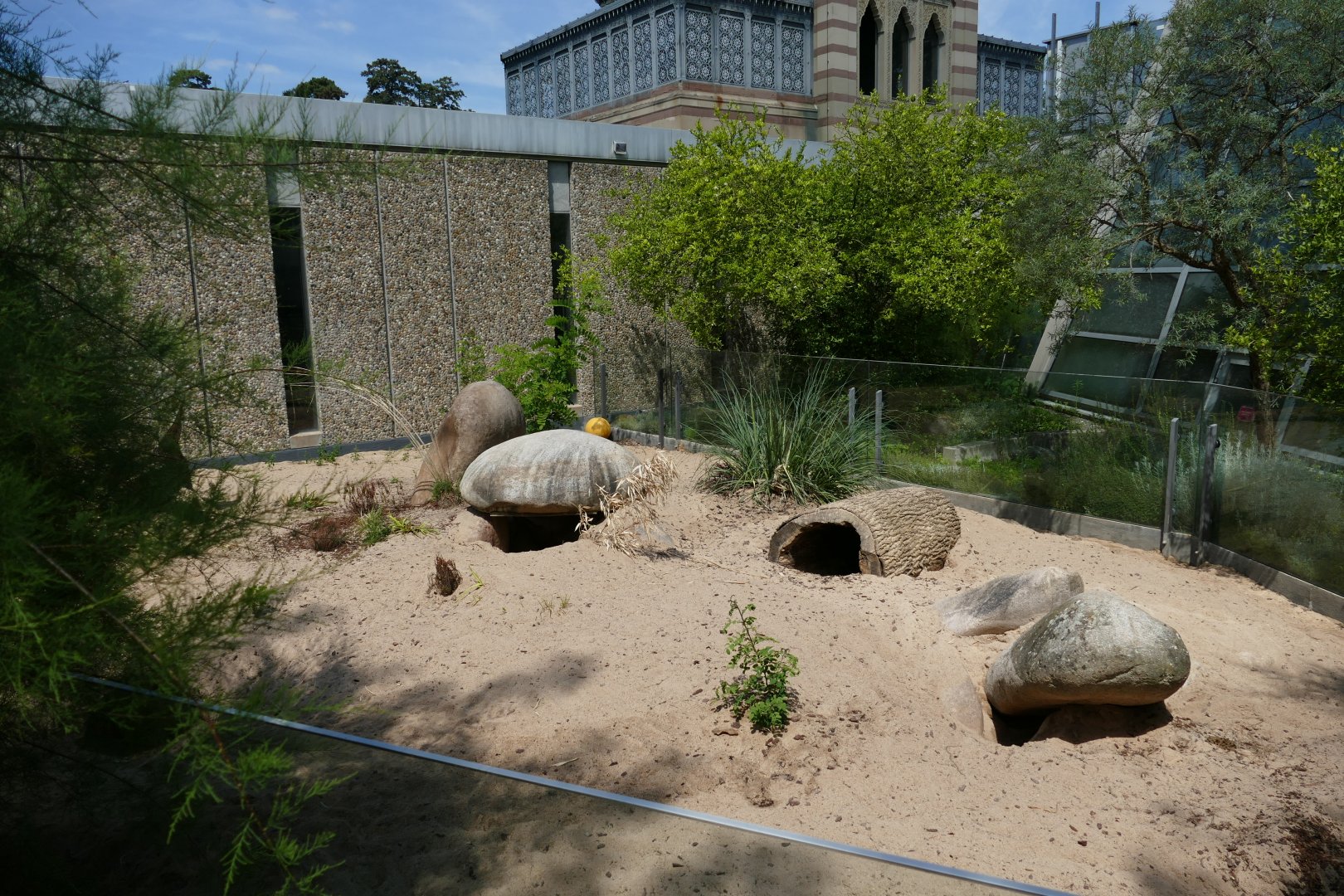 Right-side of Wombat Enclosure