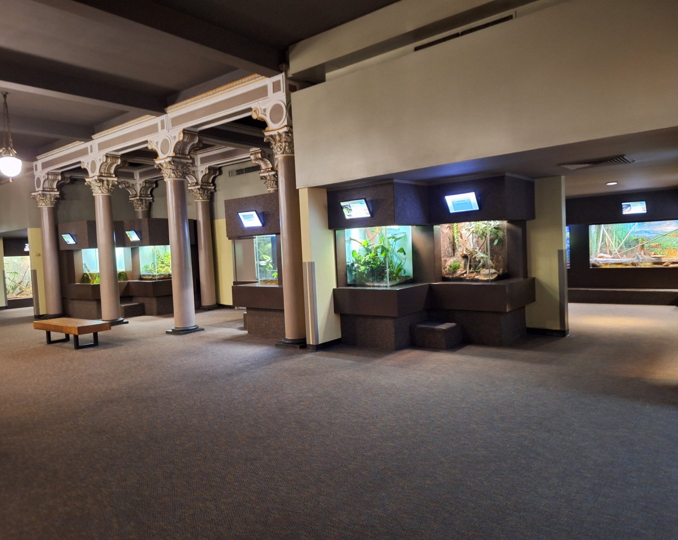 Right side view from entry