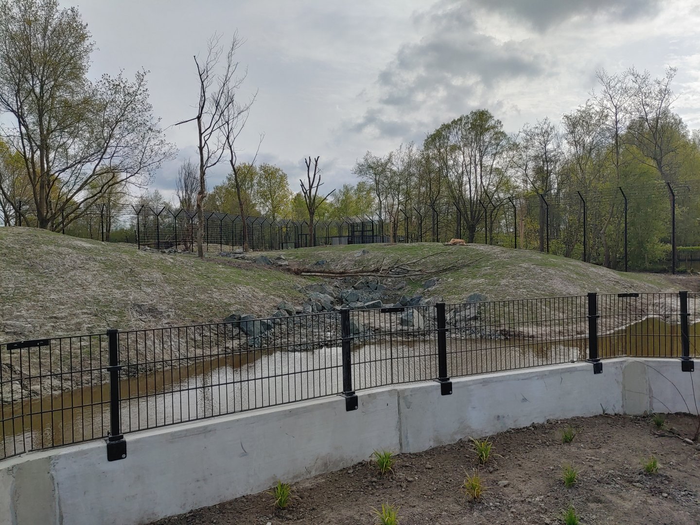 Right tiger enclosure - Water stream