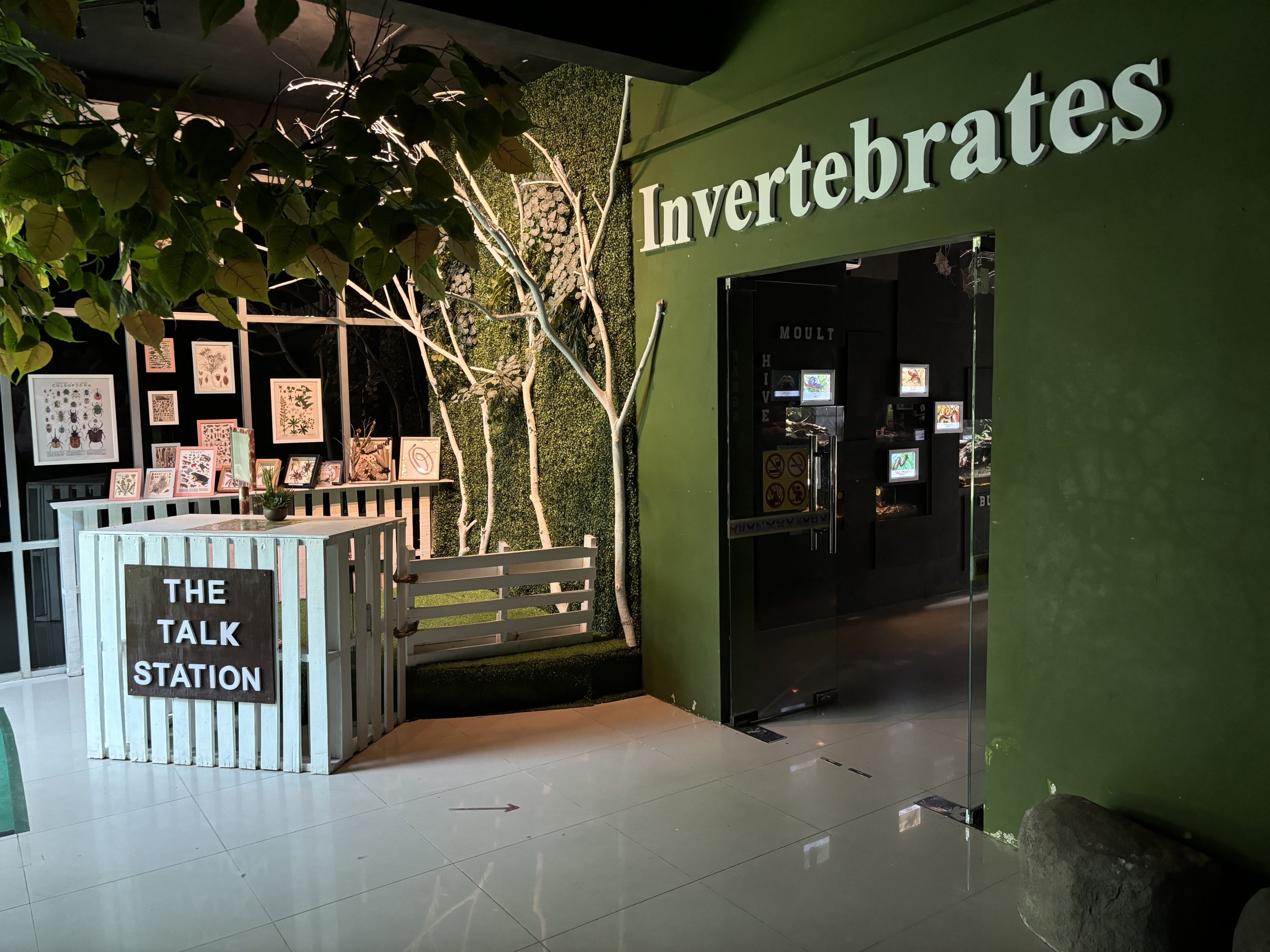 Rimba Biodiversiti Building - Invertebrates