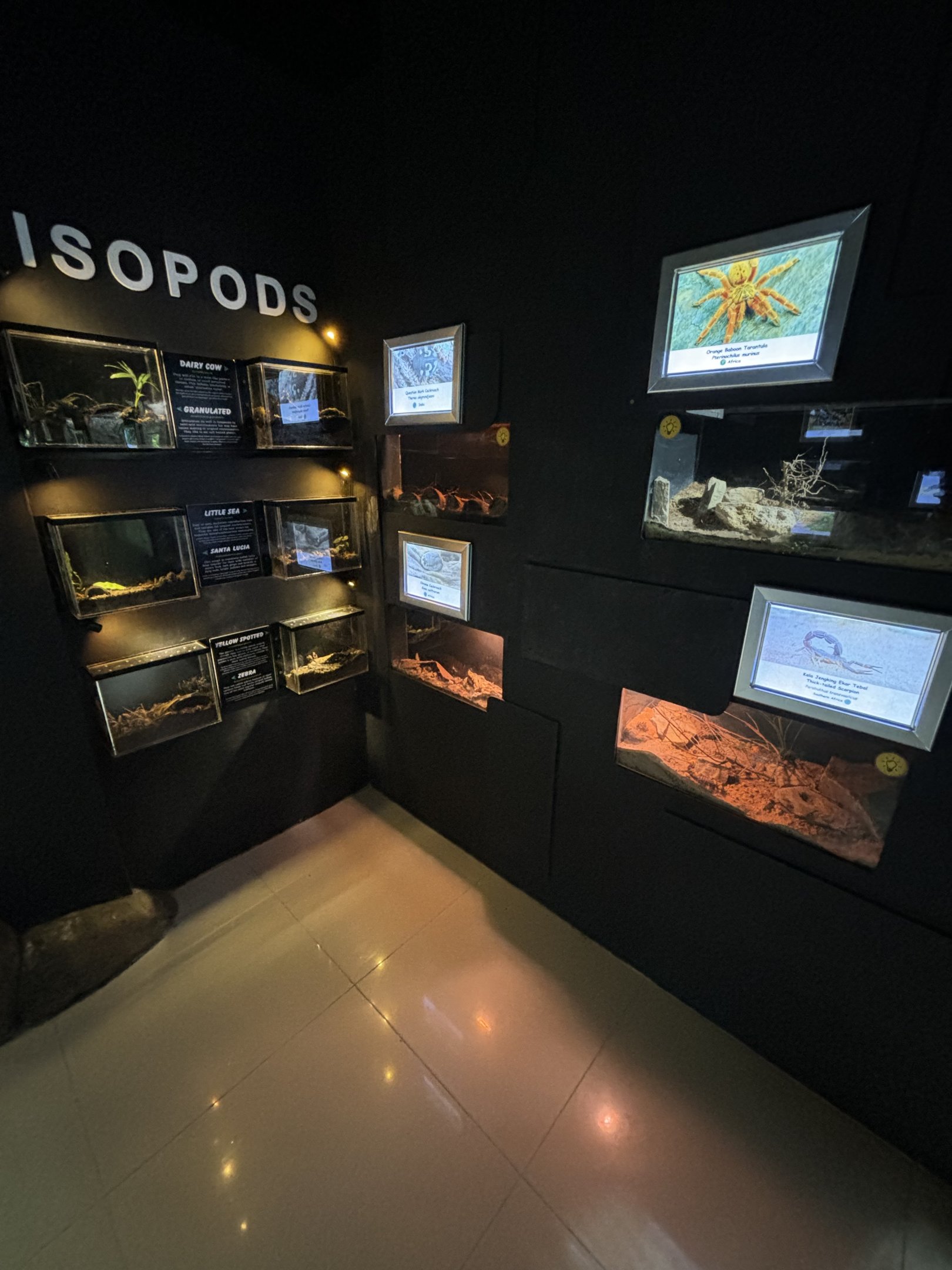 Rimba Biodiversiti Building - Isopods