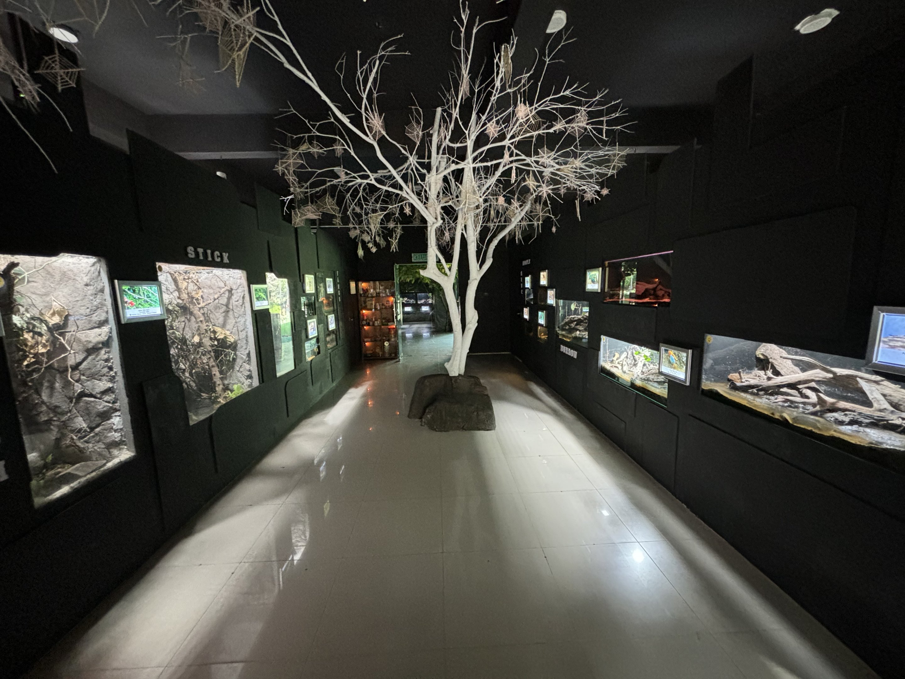 Rimba Biodiversiti Building