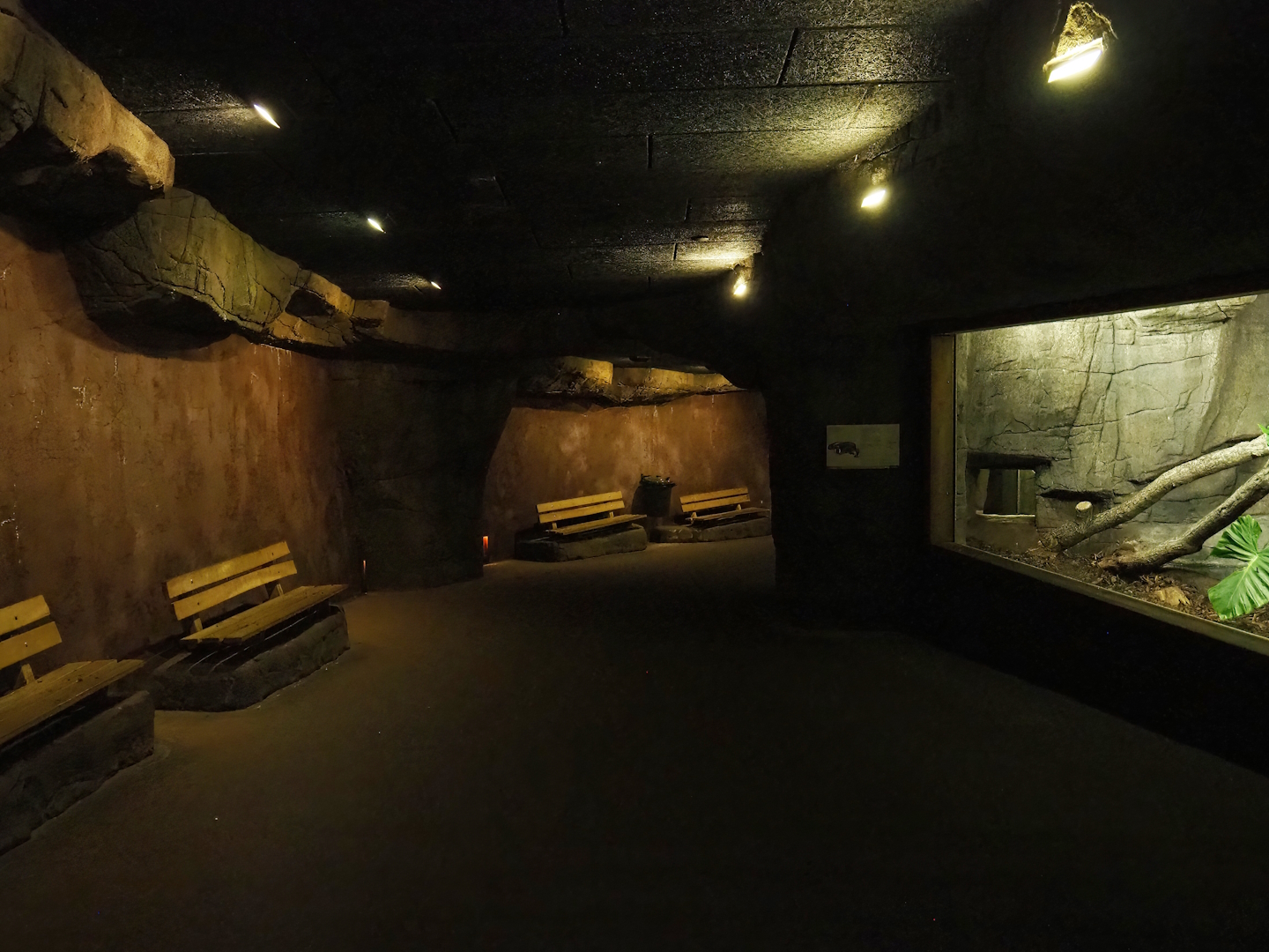 Rimba - Cave with reptile exhibits, 2023-10-07