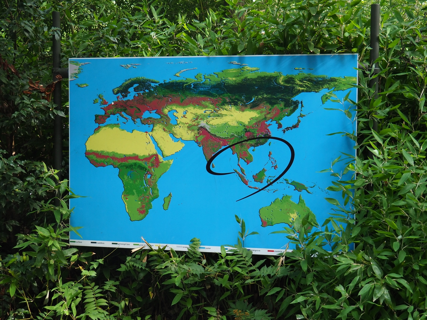 Rimba location map sign (Sep 16th, 2018)