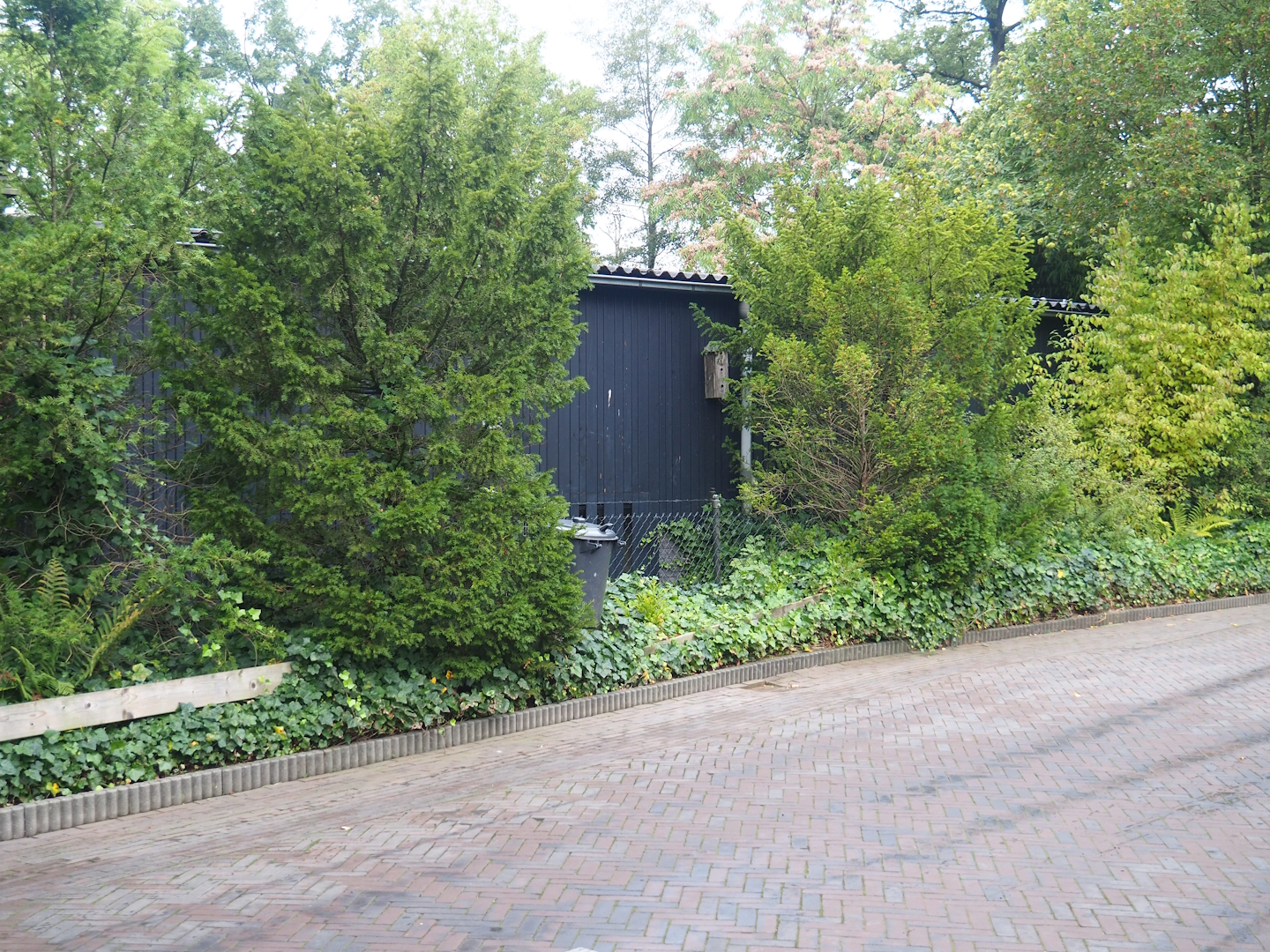 Rimba primate and ungulate building, 2023-10-07