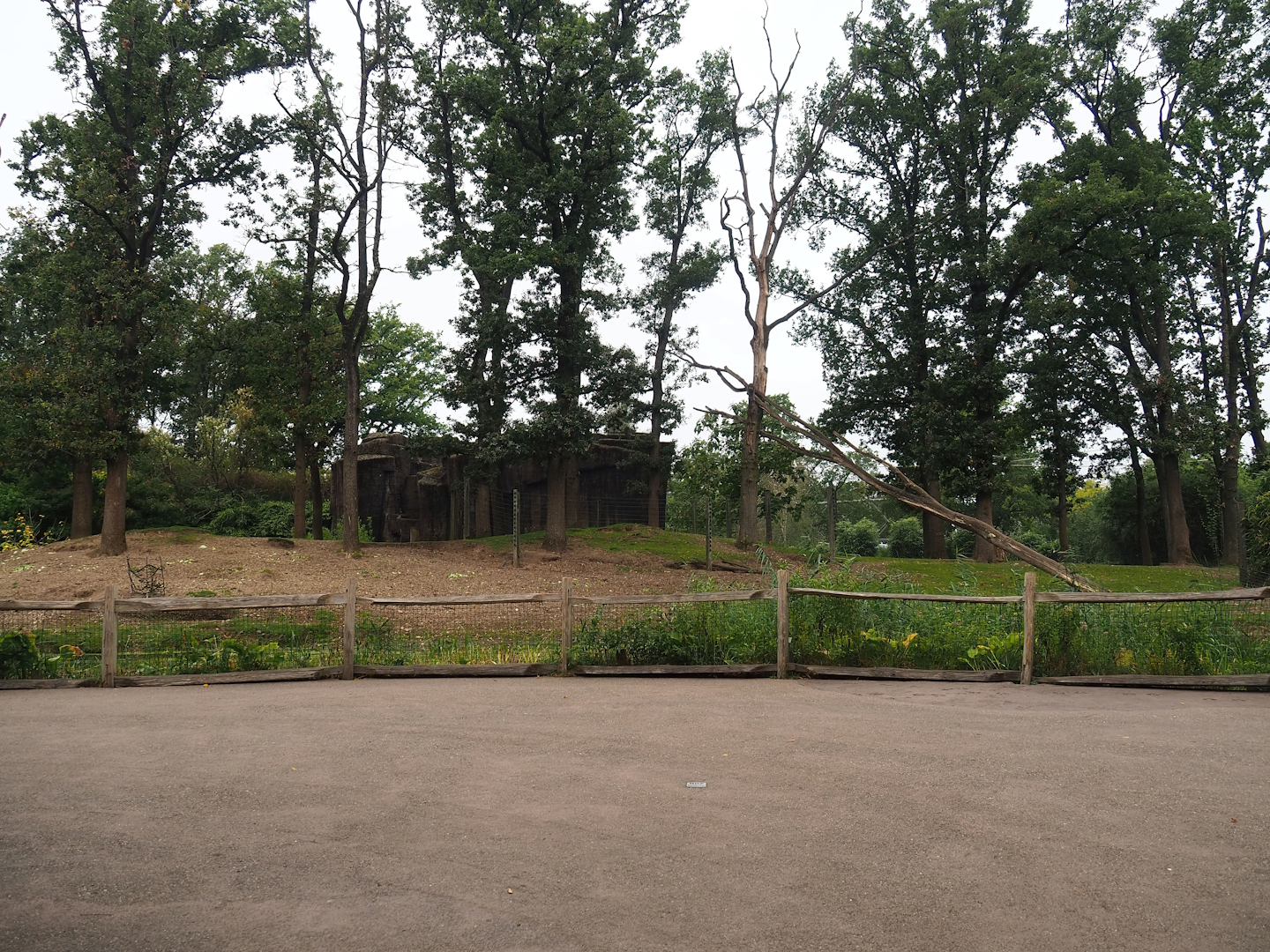 Rimba Primate and ungulate mixed exhibit, 2023-10-07