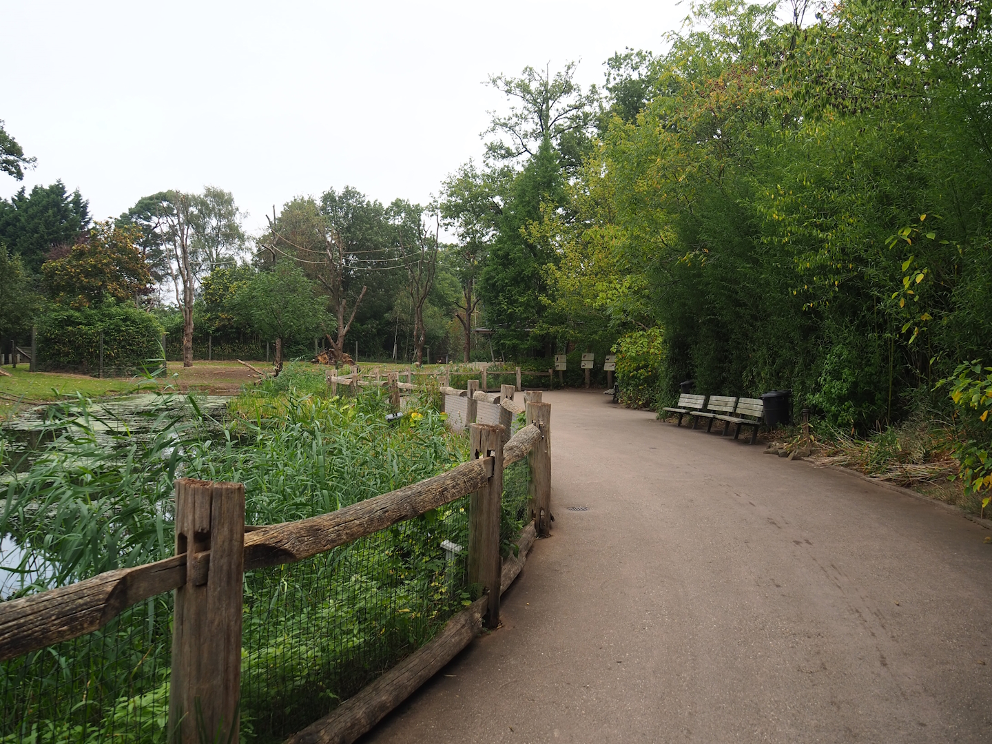 Rimba Primate and ungulate mixed exhibit, 2023-10-07