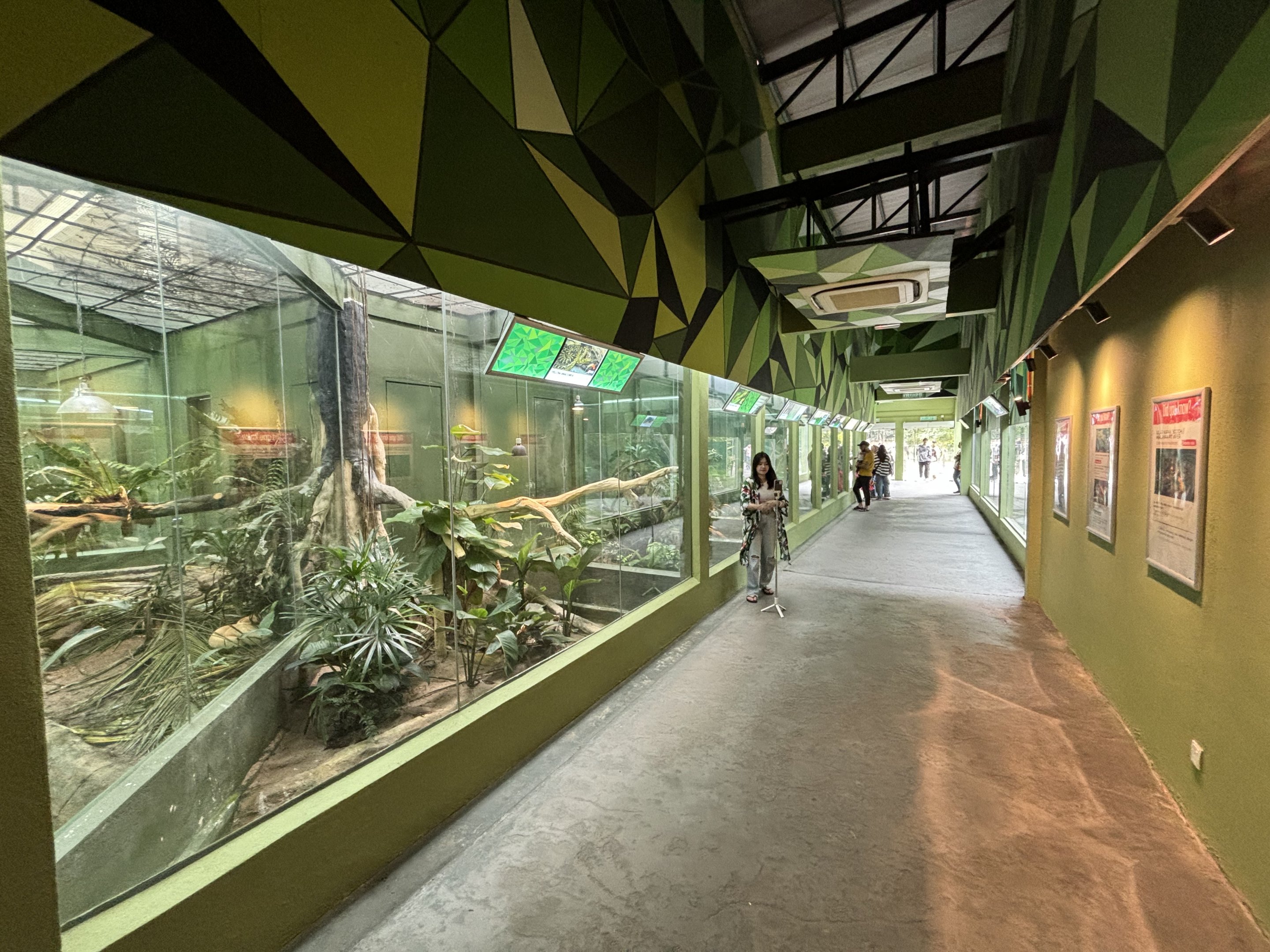 Rimba Reptilia Building