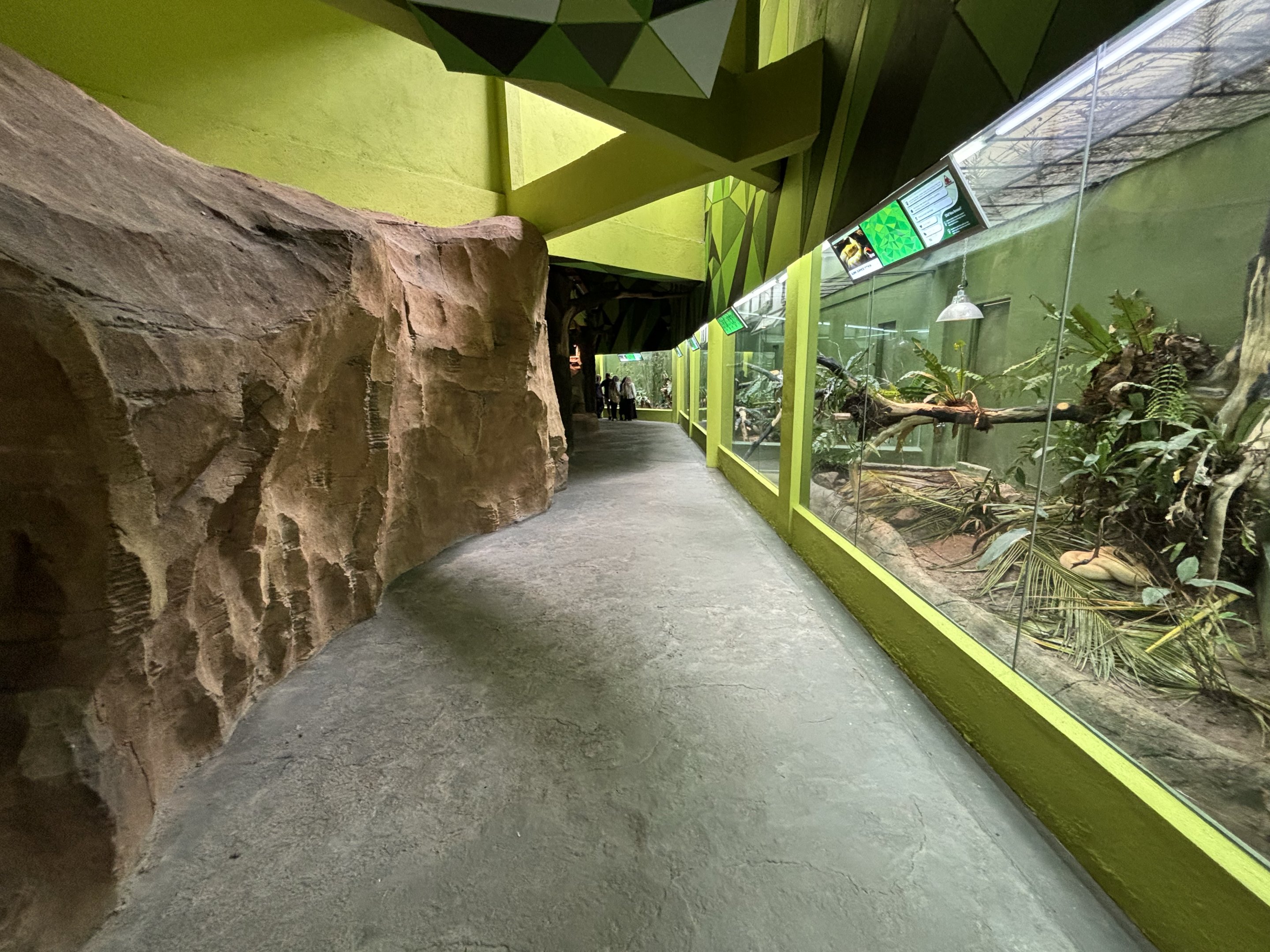 Rimba Reptilia Building