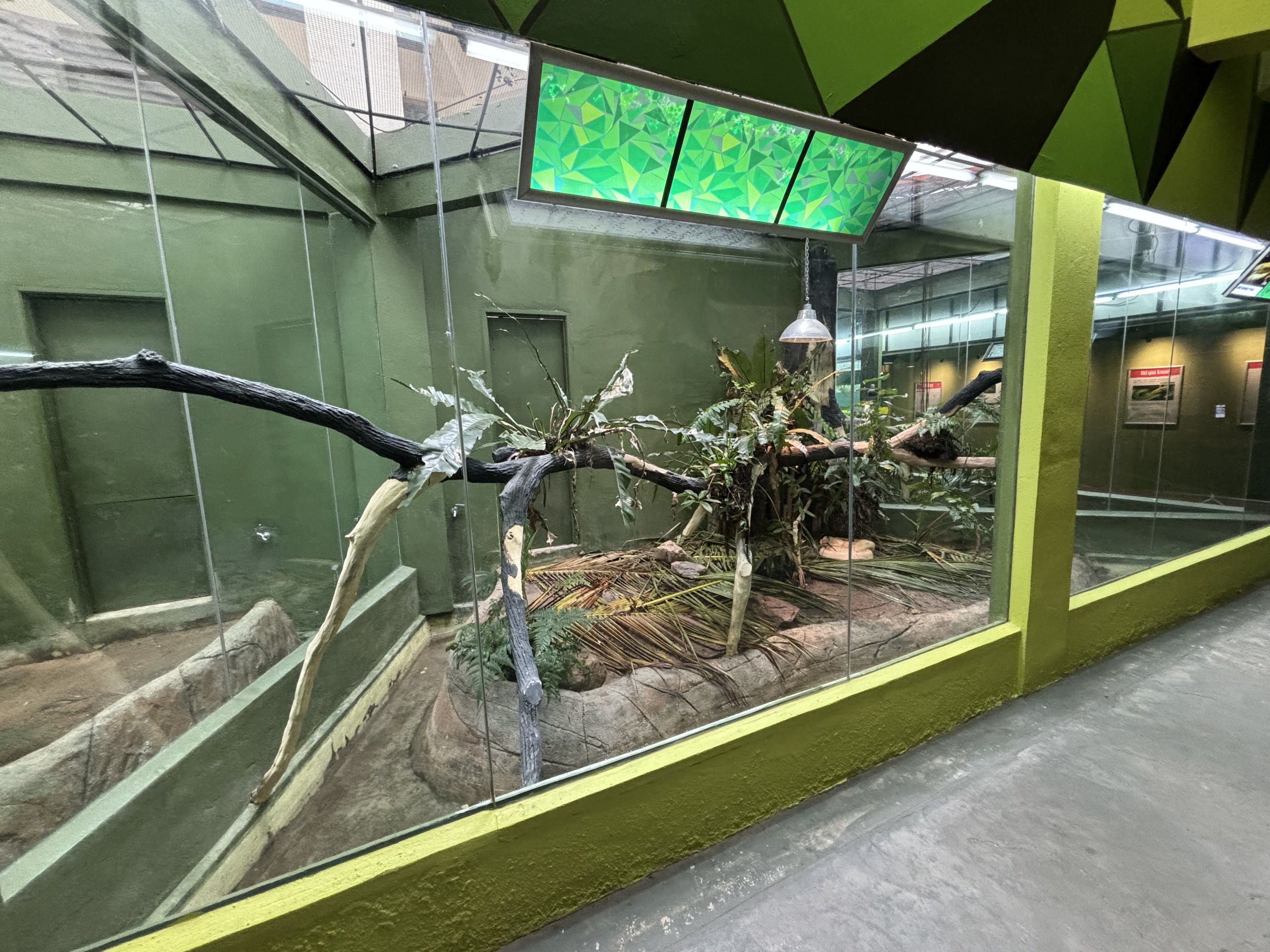 Rimba Reptilia Building