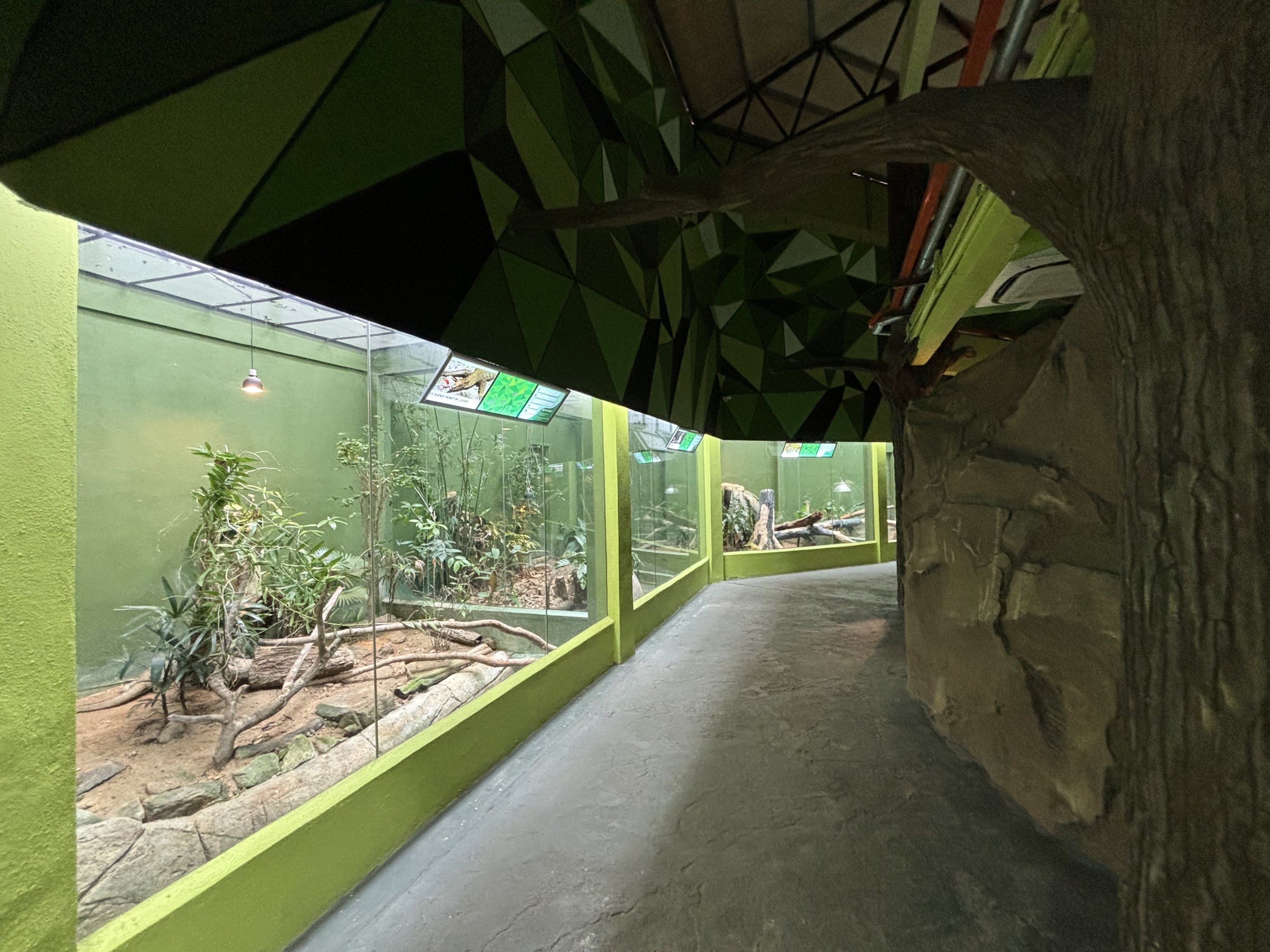 Rimba Reptilia Building