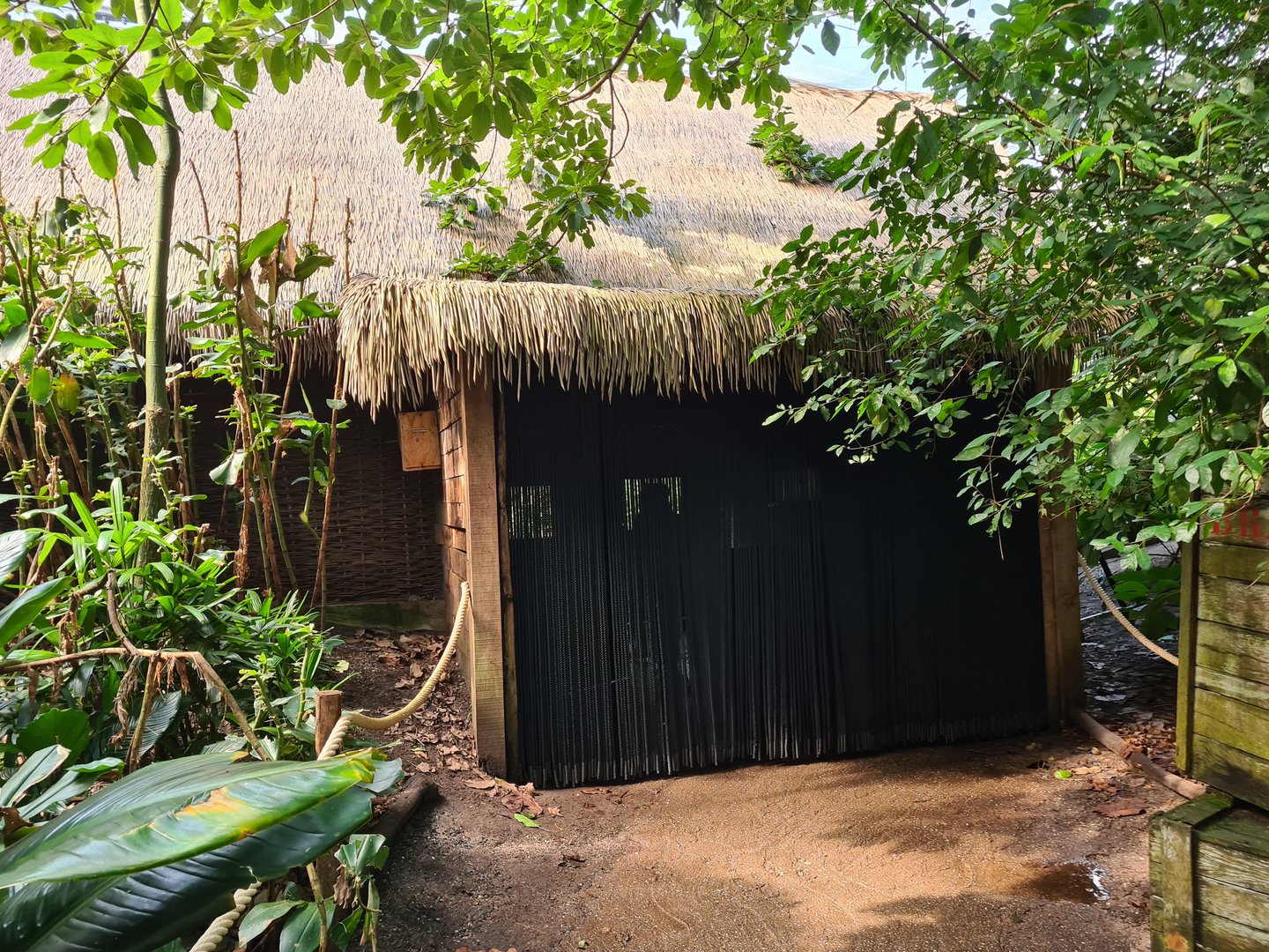 Rimbula - Birdy Bush exit