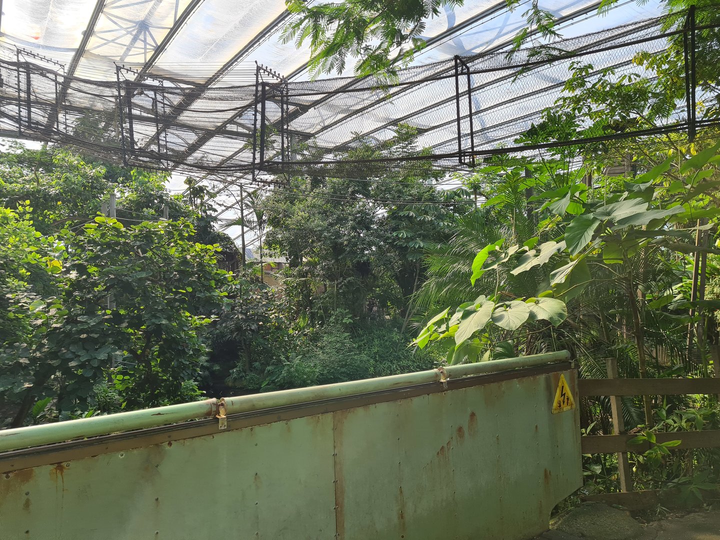 Rimbula - Bridge to Spider monkey island