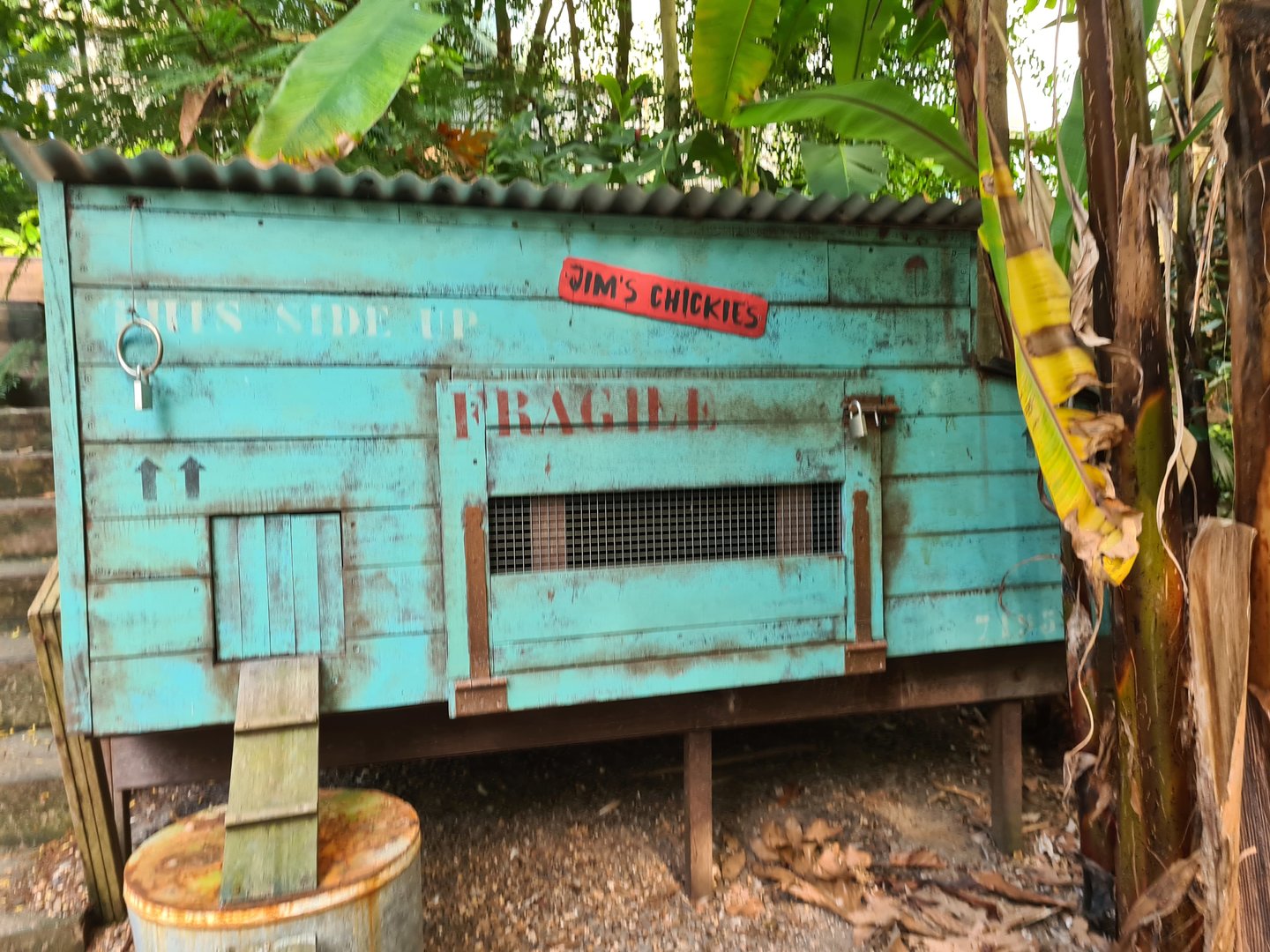 Rimbula - Chicken coop