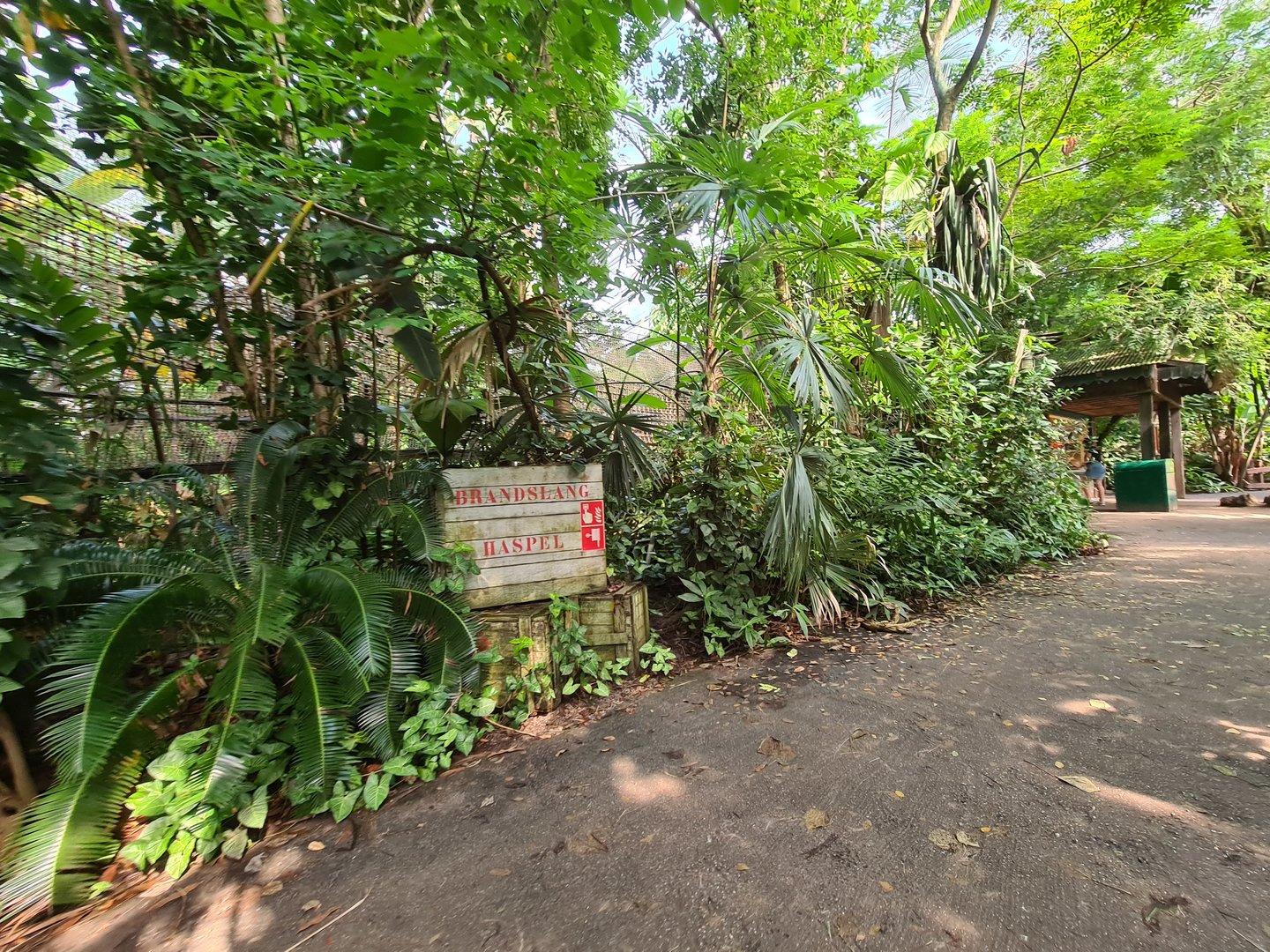 Rimbula - General view