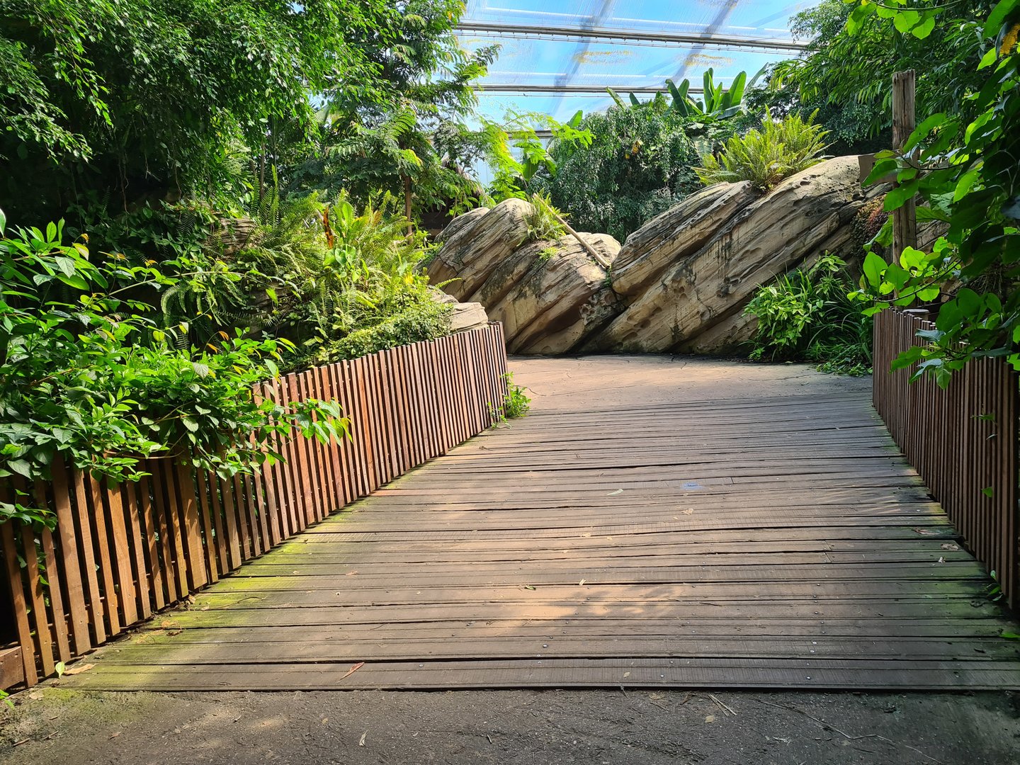 Rimbula - General view