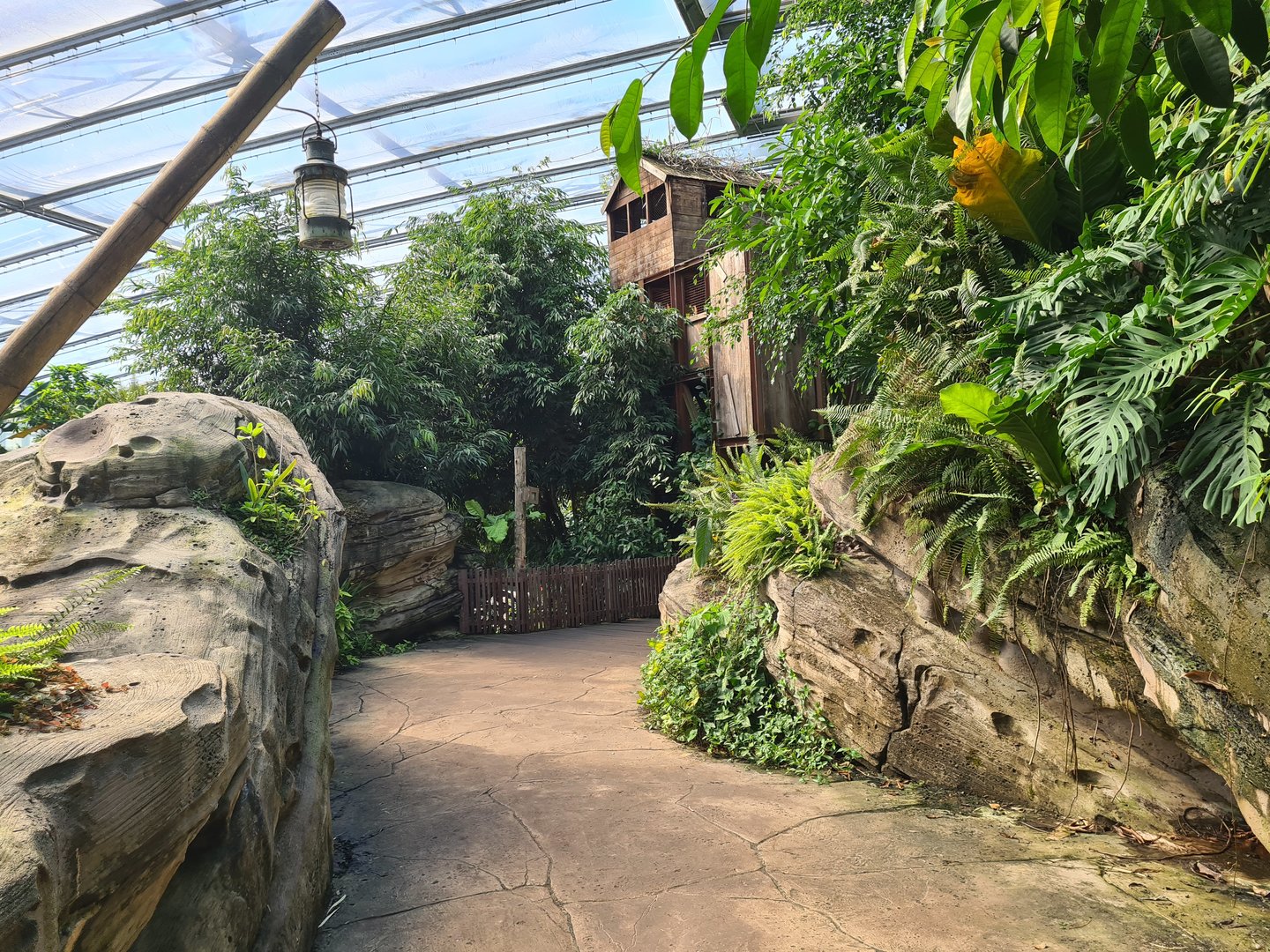 Rimbula - General view