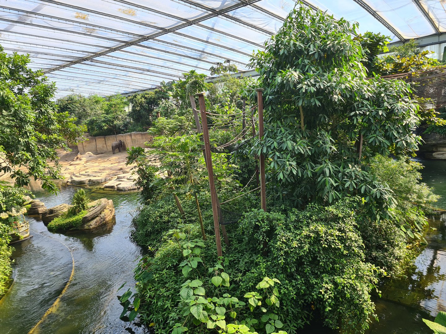 Rimbula - Gibbon island from Jungle trail