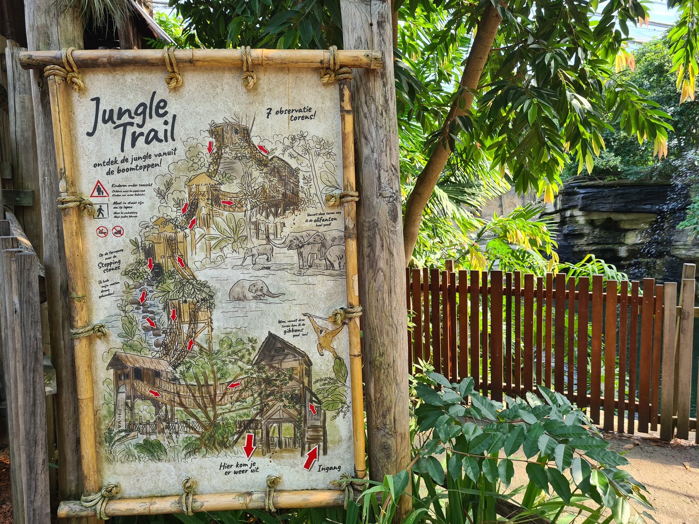 Rimbula - Jungle trail signage and map