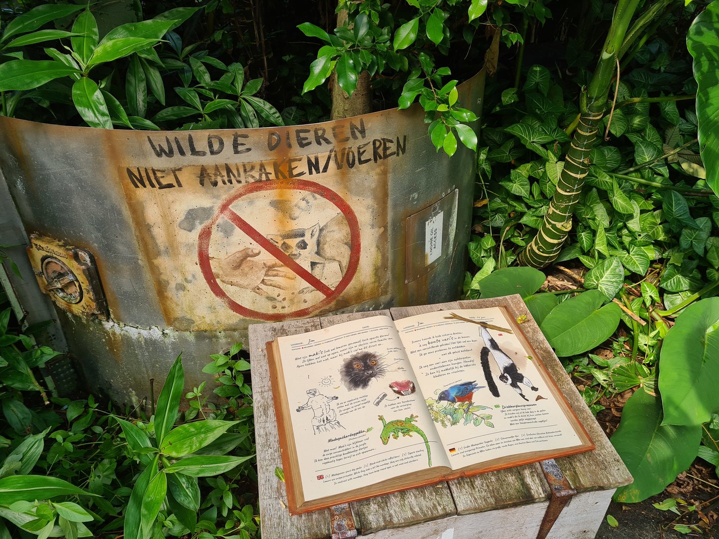 Rimbula - Lemur island signage