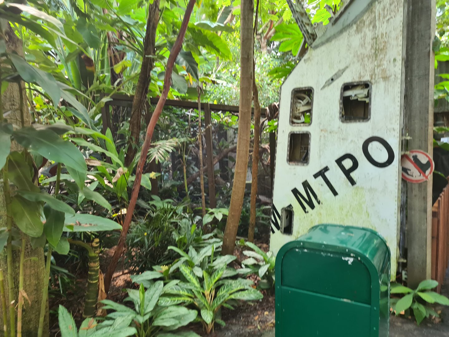 Rimbula - Pygmy marmoset enclosure