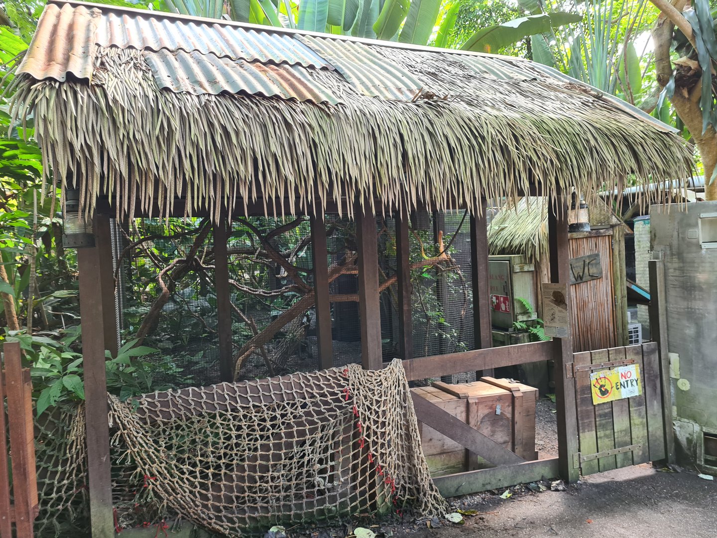 Rimbula - Pygmy marmoset enclosure