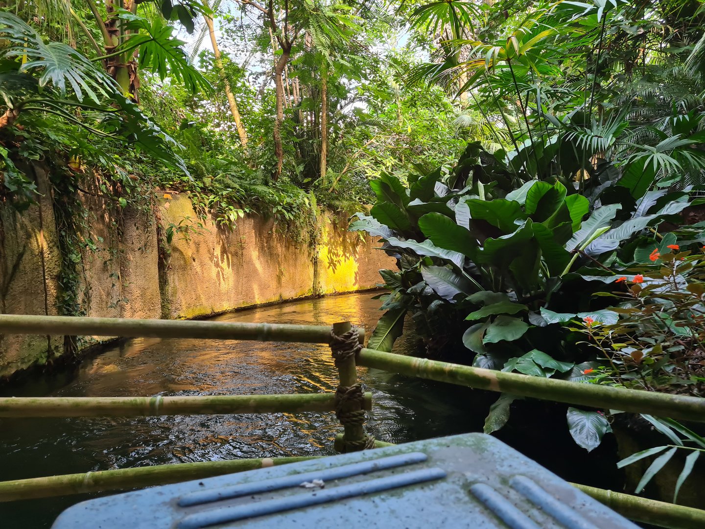 Rimbula river boat ride