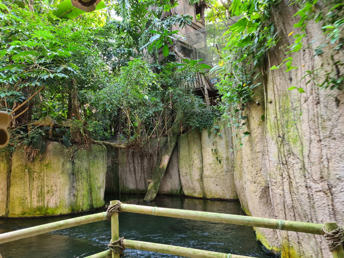 Rimbula river boat ride