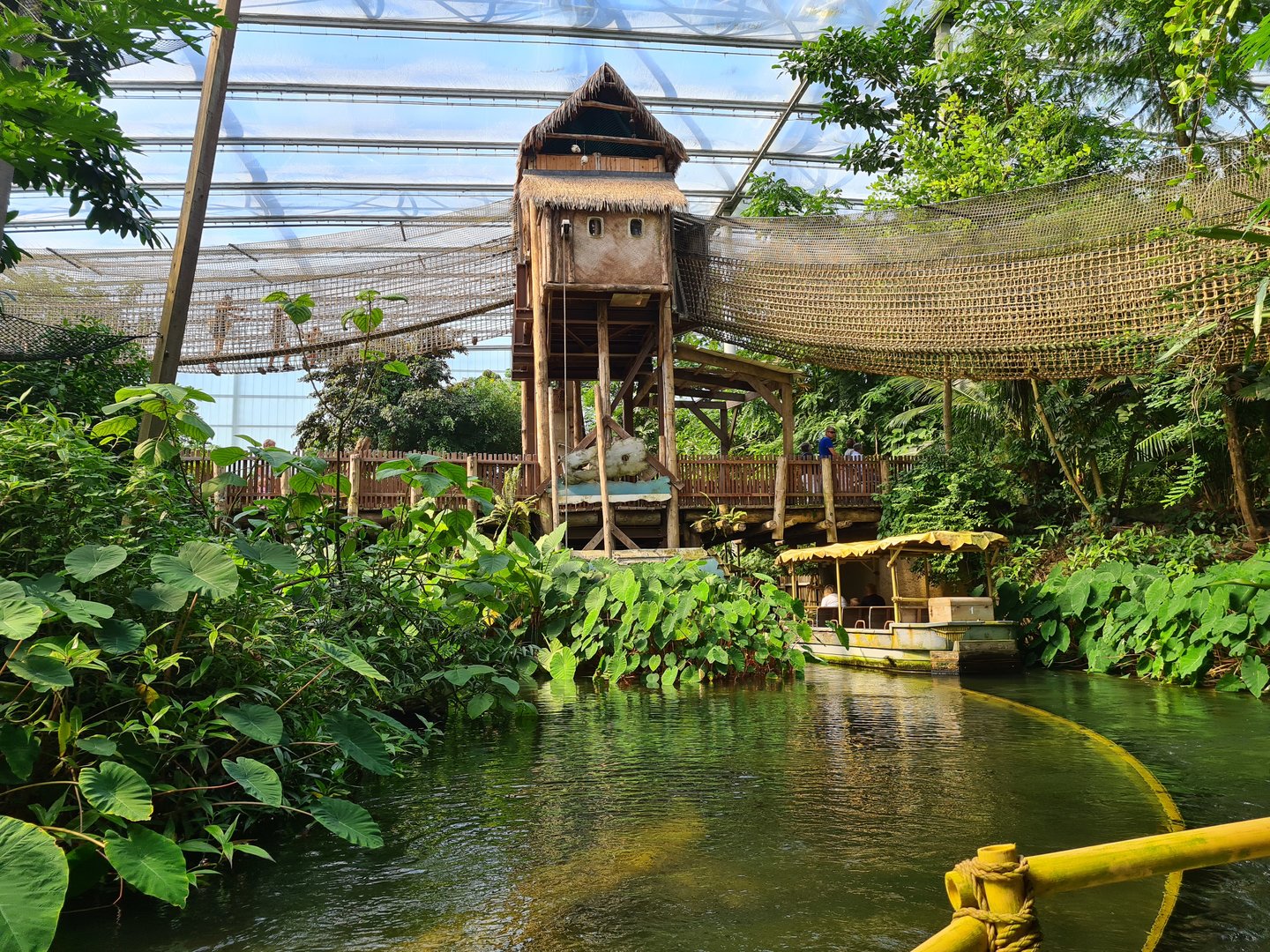 Rimbula river boat ride