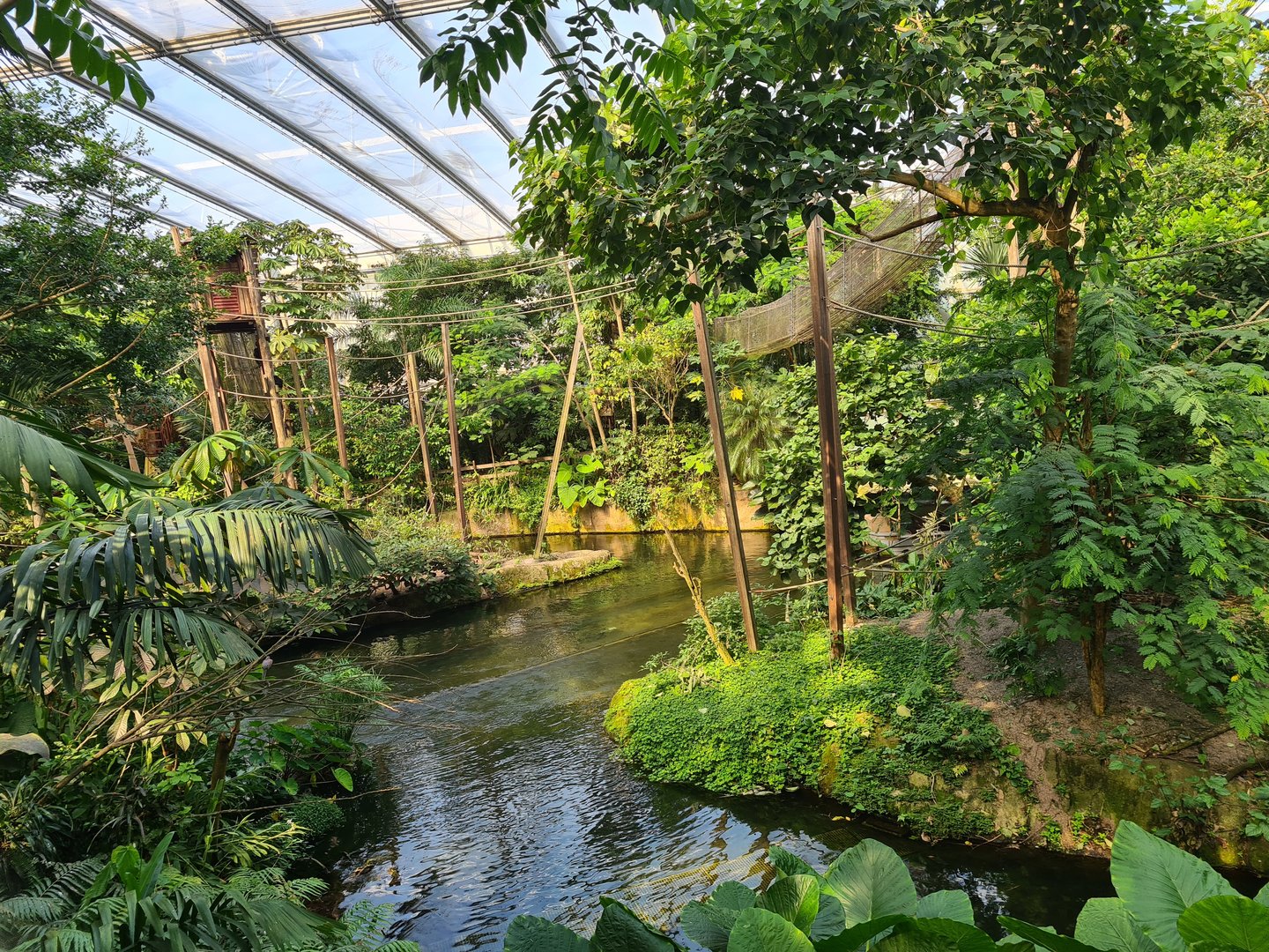 Rimbula - Spider monkey islands from Jungle trail