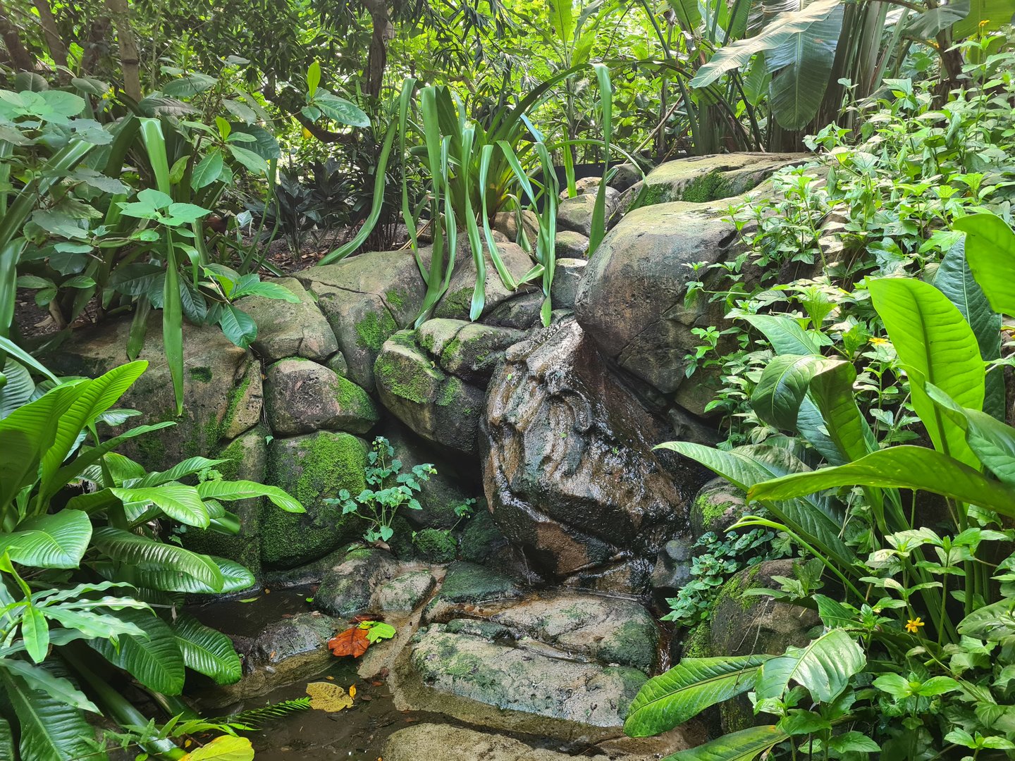 Rimbula - Water feature in Birdy Bush