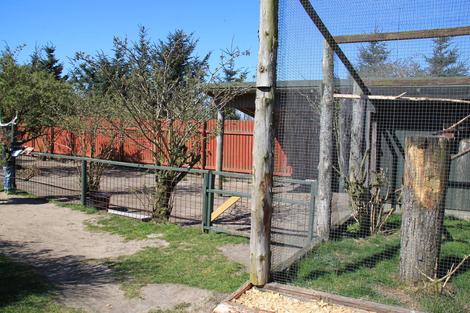 Ring-necked Parakeet Aviary + Reindeer Enclosure